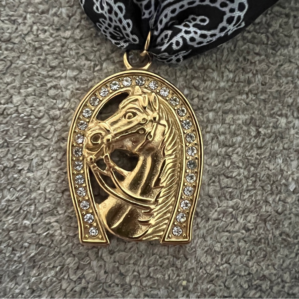 Western Bandana Horseshoe Adjustable Choker Necklace - Picture 2 of 4